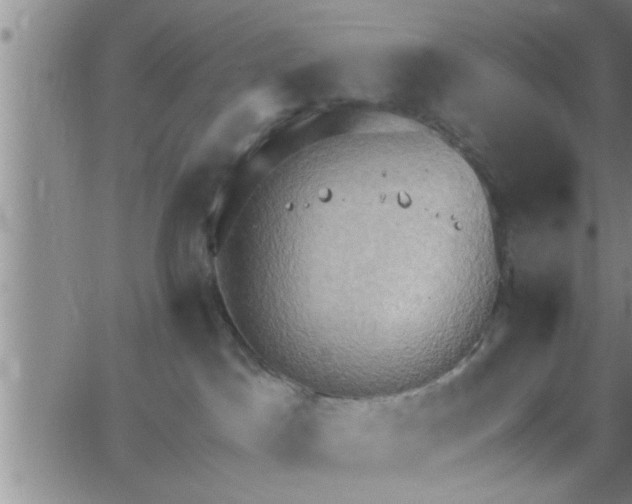 X0000063510045200601271821