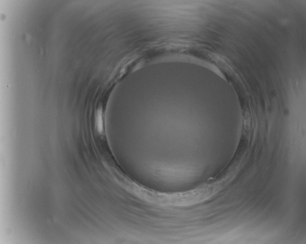 X0000063510046200601271821