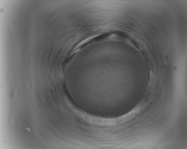 X0000063510048200601271821