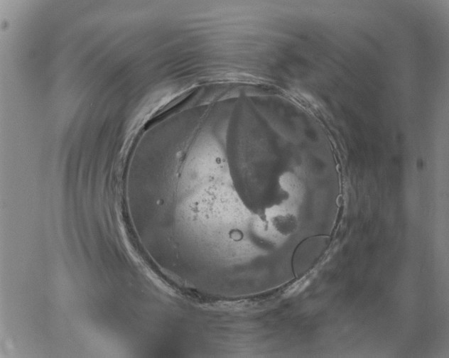 X0000063510049200601271821