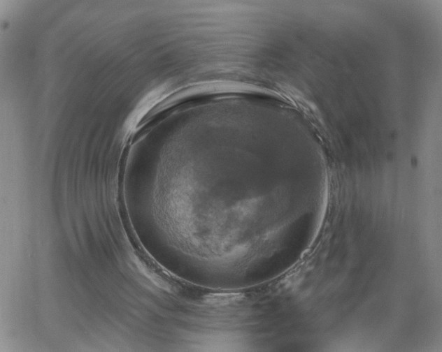 X0000063510051200601271821