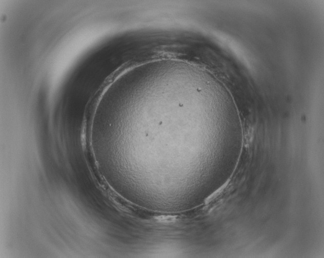 X0000063510052200601271821