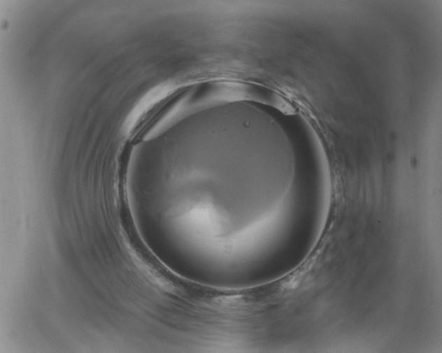 X0000063510054200601271821