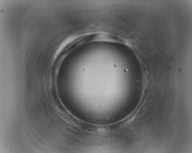 X0000063510056200601271821