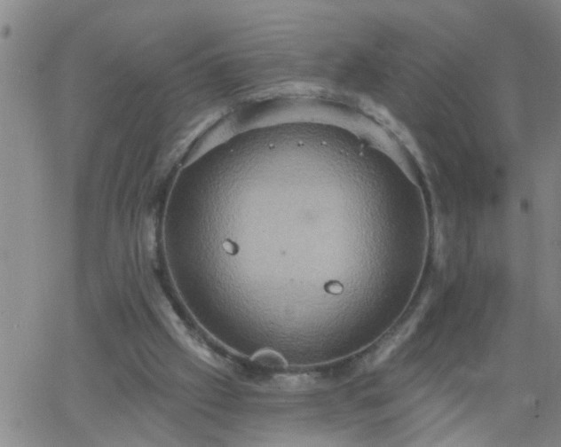 X0000063510057200601271821