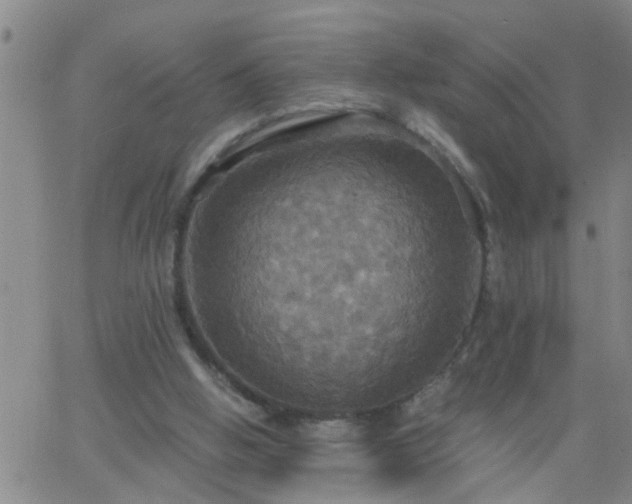 X0000063510058200601271821