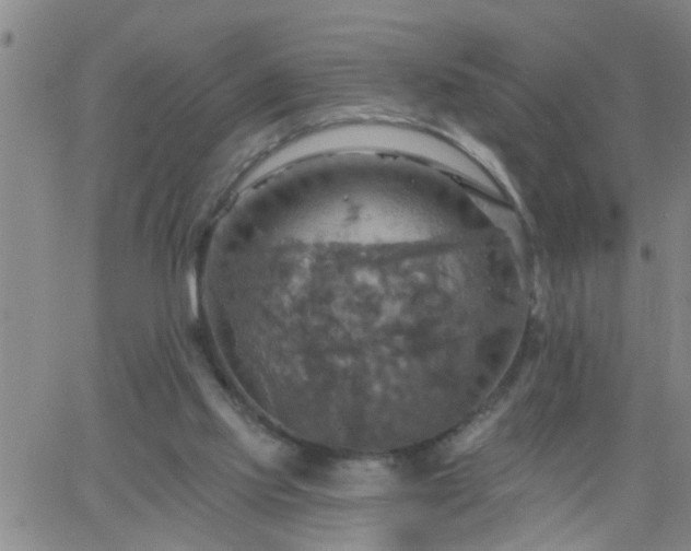 X0000063510061200601271821