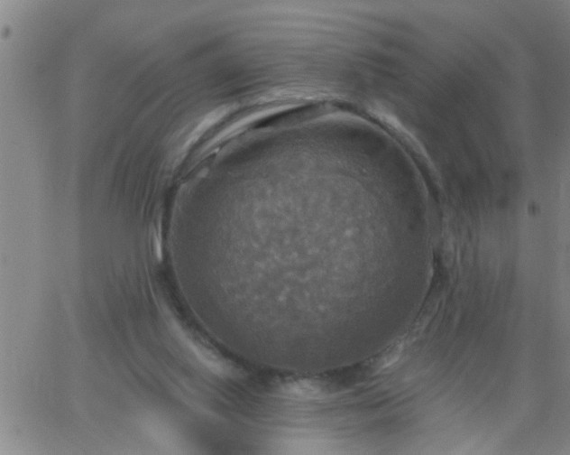 X0000063510062200601271821