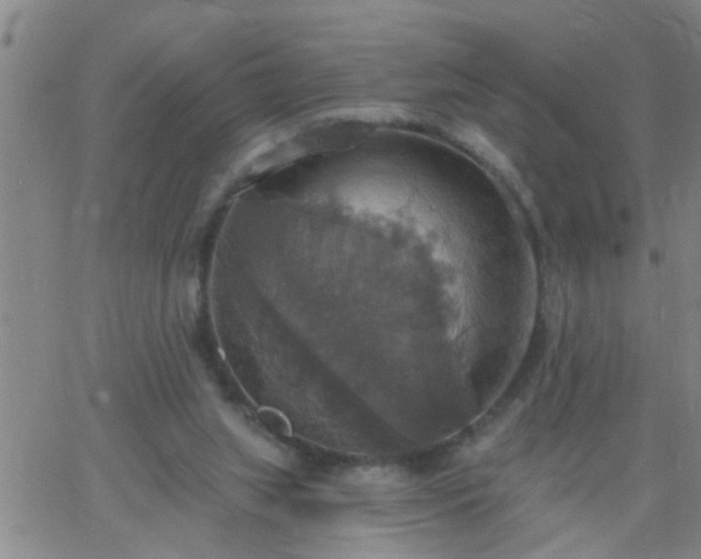 X0000063510063200601271821