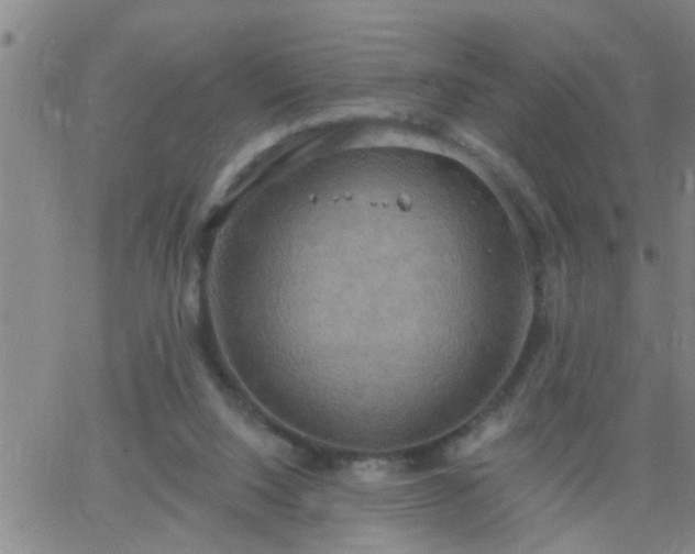 X0000063510064200601271821