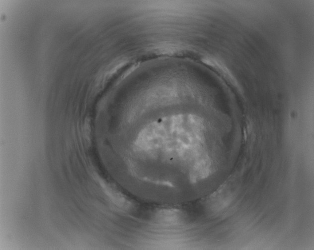 X0000063510066200601271821