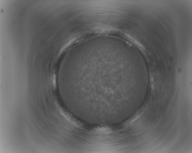 X0000063510067200601271821