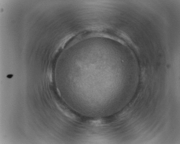 X0000063510068200601271821