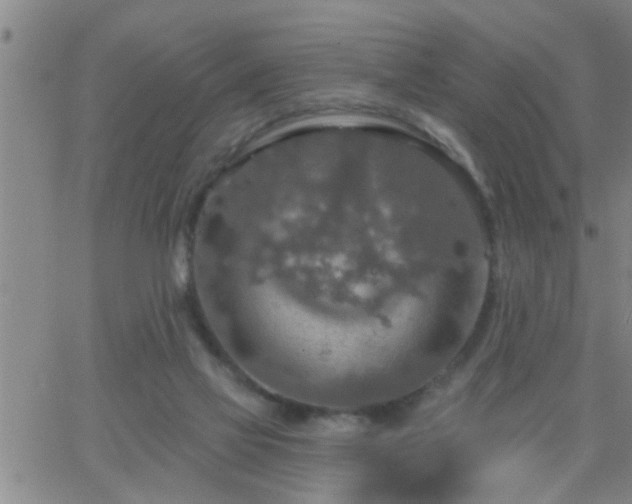 X0000063510069200601271821