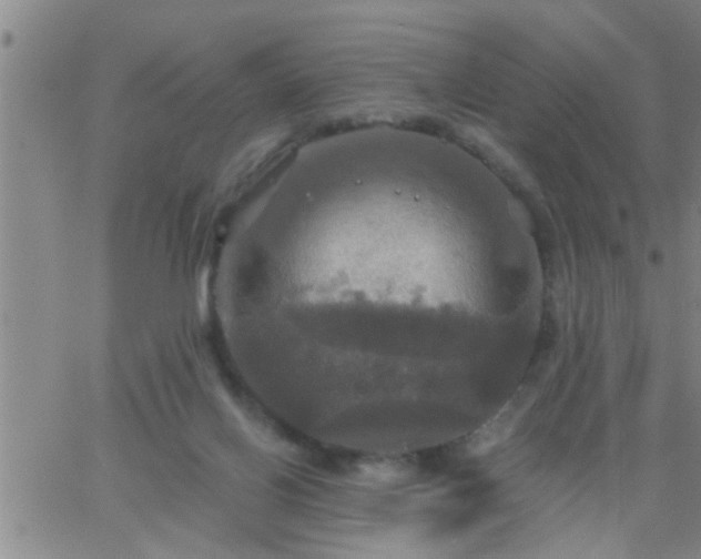 X0000063510070200601271821