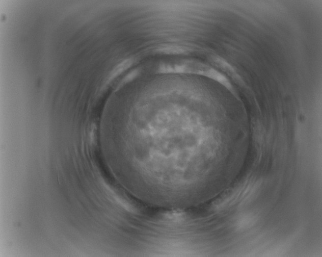 X0000063510071200601271821