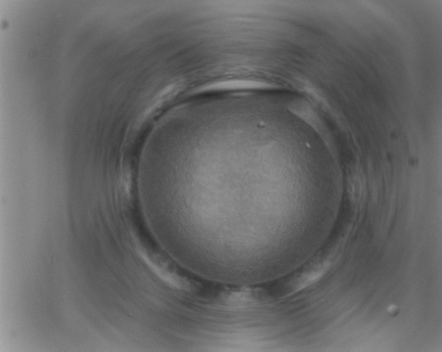 X0000063510072200601271821