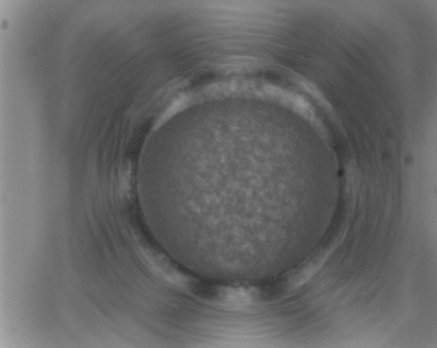 X0000063510073200601271821