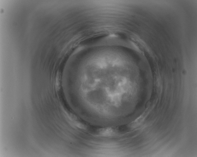 X0000063510074200601271821