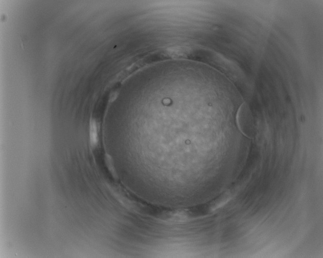 X0000063510075200601271821