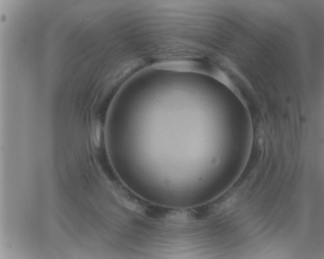 X0000063510076200601271821