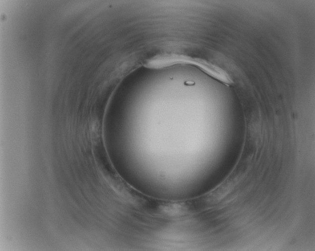 X0000063510079200601271821