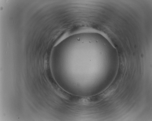 X0000063510080200601271821