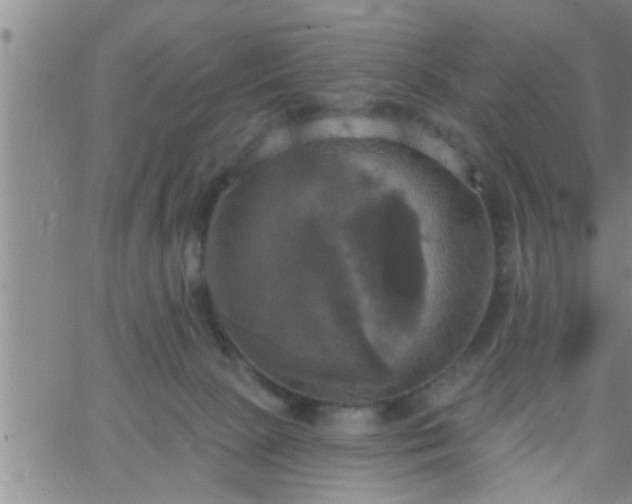 X0000063510081200601271821