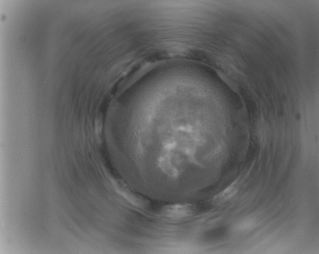 X0000063510082200601271821