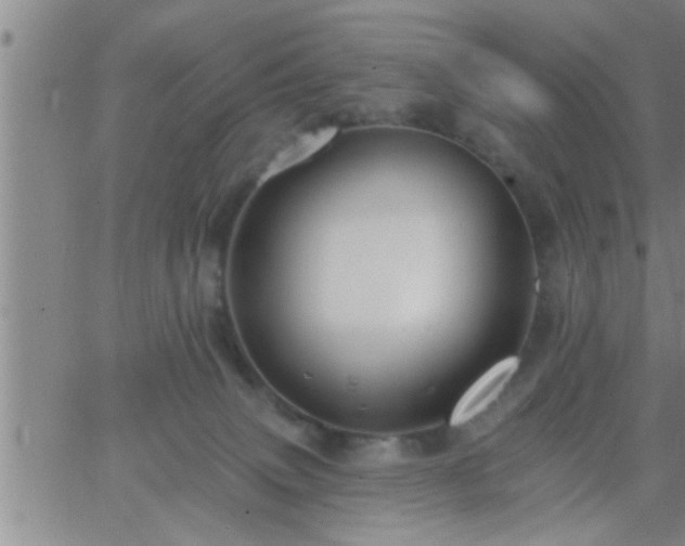 X0000063510083200601271821