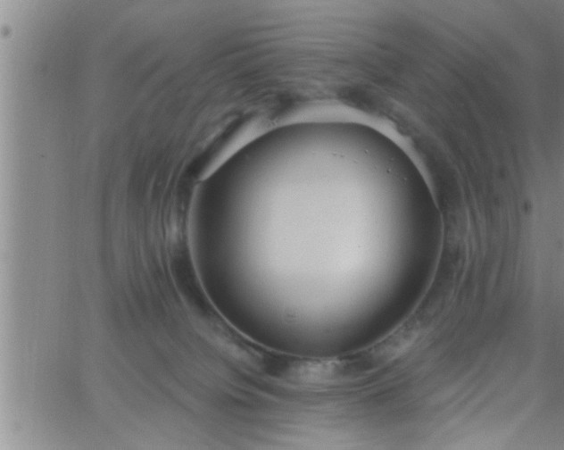 X0000063510084200601271821