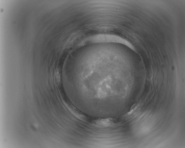 X0000063510086200601271821