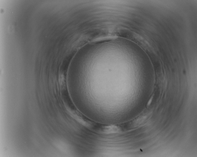 X0000063510087200601271821