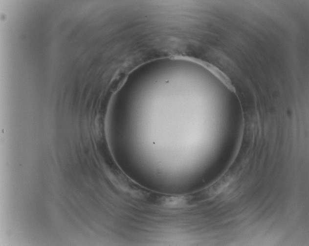 X0000063510088200601271821