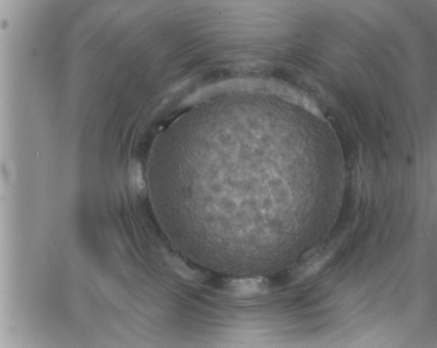 X0000063510089200601271821