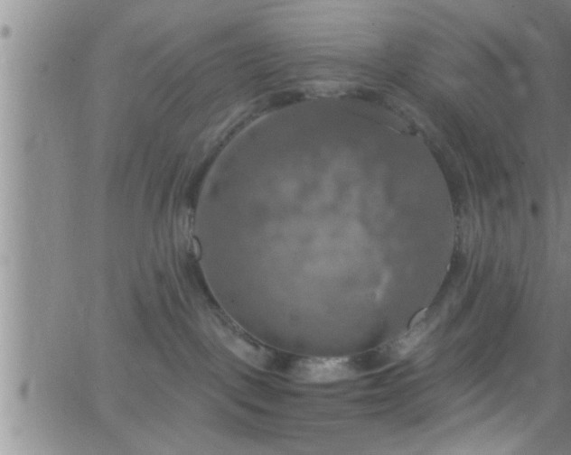 X0000063510093200601271821