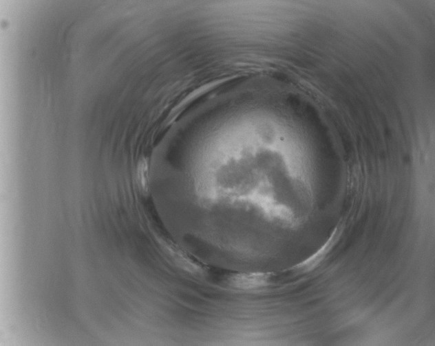 X0000063510094200601271821