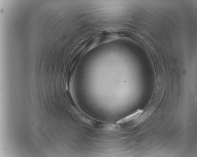 X0000063510096200601271821