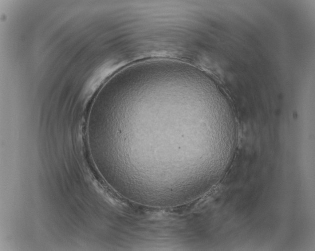 X0000063510098200601271821