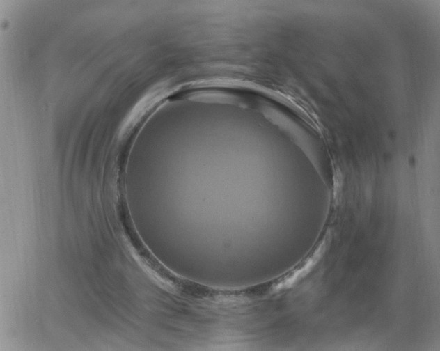 X0000063510101200601271821