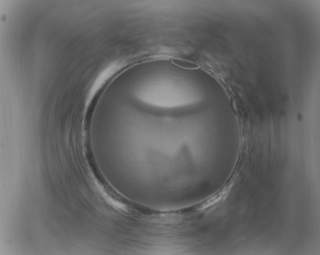 X0000063510102200601271821