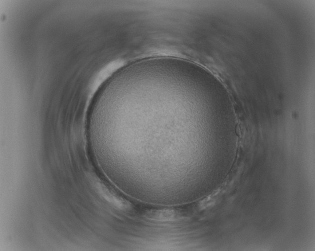 X0000063510104200601271821