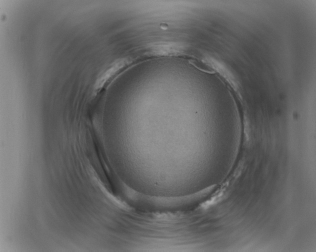 X0000063510105200601271821