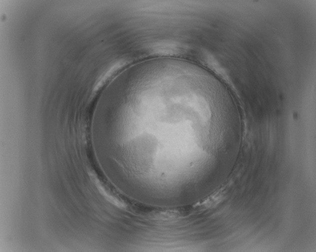 X0000063510106200601271820