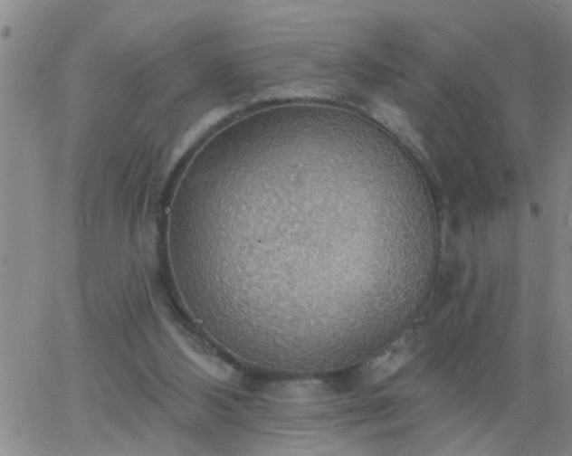 X0000063510108200601271820