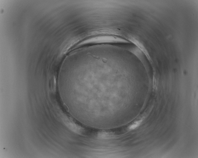 X0000063510109200601271820