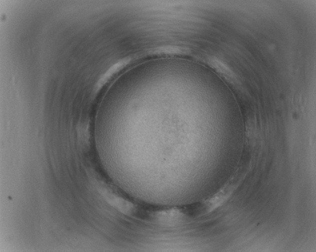 X0000063510112200601271820