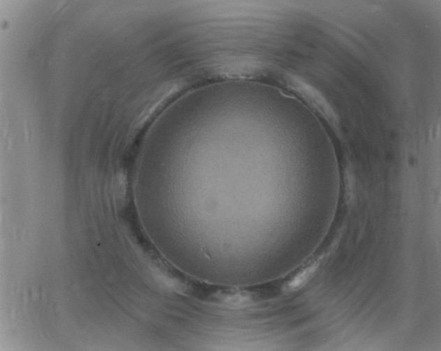 X0000063510113200601271820