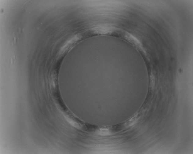 X0000063510114200601271820