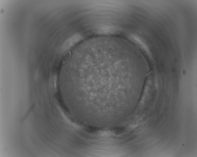 X0000063510115200601271820